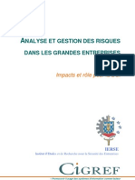 Analyse Et Gestion Des Risques Dans Les Grandes Entreprises - Impacts Pour La DSI-Rapport 2007 Web