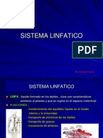 31- Sistema Linfatico