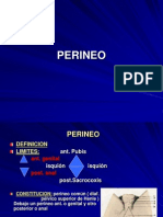 34 - Perineo