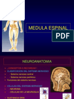 15 - Medula Espinal