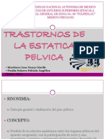 5.trastornos de La Estatica Pelvica-Final