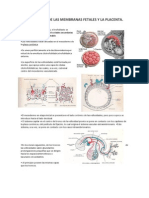 Desarrollo de Las Membranas Fetales y La Placenta