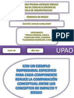 Riesgos Internos y Externos de La Empresa de Calzados Mishel s.a.c