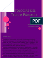 Patologías del Tercer Párpado2