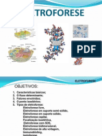 Eletroforese 2011 PDF