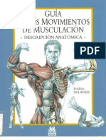 Guía de los movimientos de musculación - Descripción anatómica