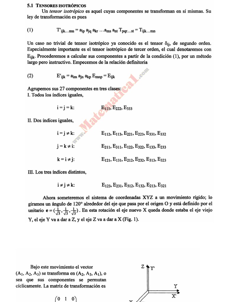 EL TENSOR ÉPSILON Tensor Vector euclidiano