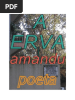 ERVA