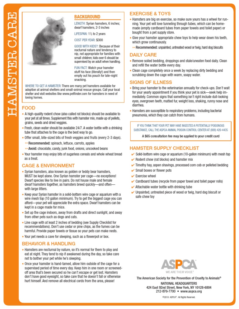 Hamster Edu Pdf Nature Foods