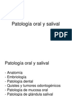 Patología bucal