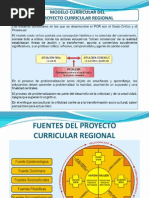 Proyecto Curricular Regional - Puno