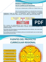 Proyecto Curricular Regional - Puno