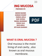 Lining Mucosa