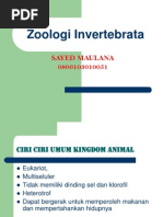Download Bahan Belajar Zoologi Invertebrata by Ryna Widya SN105573758 doc pdf