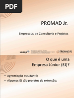 Apresentaçao SEBRAE_SEC DESENV