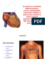 Anatomia Corazon