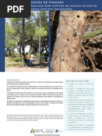 Nematodo Pinheiro Armadilhas