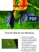 Presentación ciclo de la mariposa