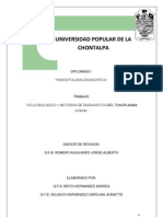 Ciclo Biologico y Metodos de Dx de Toxoplamas