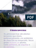 Gimnospermas - Biologia