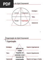 Organização da ação empresarial