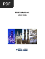 Proii Workbook