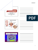 ACV 11 [Modo de Compatibilidad]