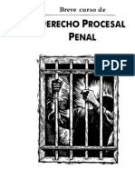 Derecho Procesal Penal