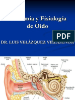 Anatomia Fisiologia OIDO