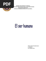 Maria Fernanda Linares Pianegonda Scribd