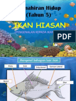 Pengenalan Kepada Ikan Hiasan