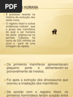 A evolução Humana