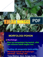 Kuliah Minggu Ke 2