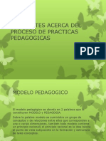 Referentes Acerca Del Proceso de Practicas Pedagogicas