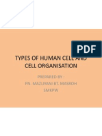 Types of Human Cell &amp; Cell Organisation