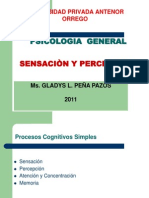 Sensación, percepción y procesos cognitivos simples en psicología general