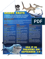 Finding Nemo Shark Facts