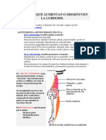 Músculos Que Aumentan o Disminuyen La Lordosis