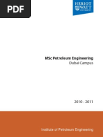 Download Petroleum Engineering Programme Handbook by Mohammed Shoaib SN105776982 doc pdf