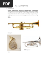 membranophone