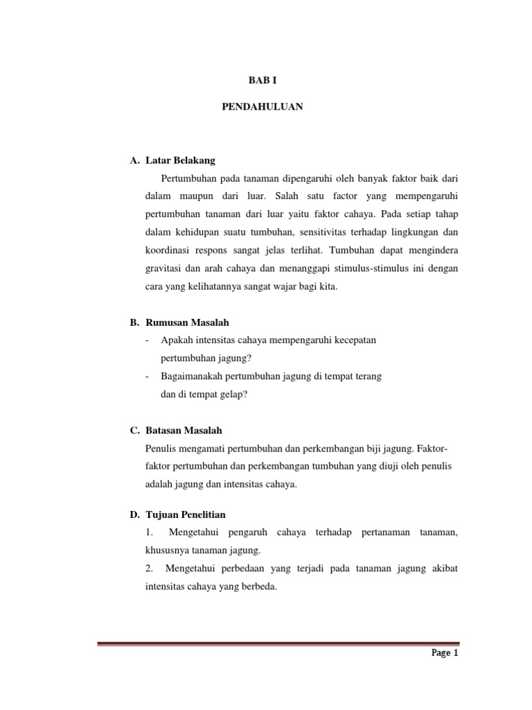 Makalah Jagung Asli