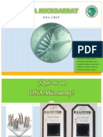 DNA Microarray (Grupal)