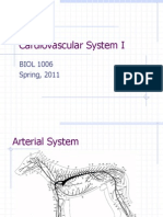 Cardiovascular System I .11SP