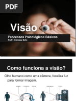 Processos Psicológicos - Visão