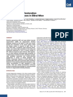 Photochemical Restoration of Visual Responses in Blind Mice