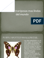 Las Cinco Mariposas Mas Lindas Del Mundo