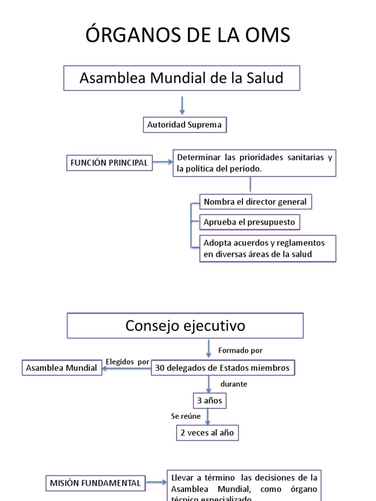 Estructura y Funciones de la OMS | PDF | Organización Mundial de la ...