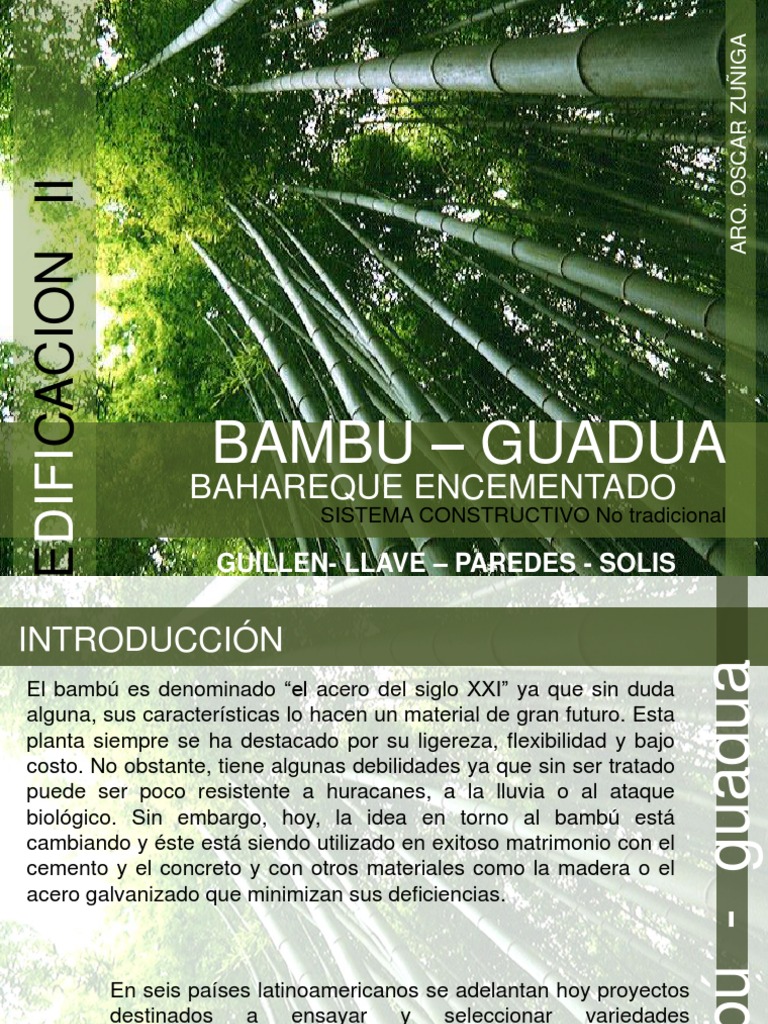 Bambú - Guadua | PDF | Science | Ingeniería