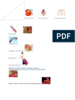 Amniocentesis Anatomy of The Eye An Active Heart Anatomy of Urinary