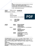 Anatomia Esplacnologia Resumen